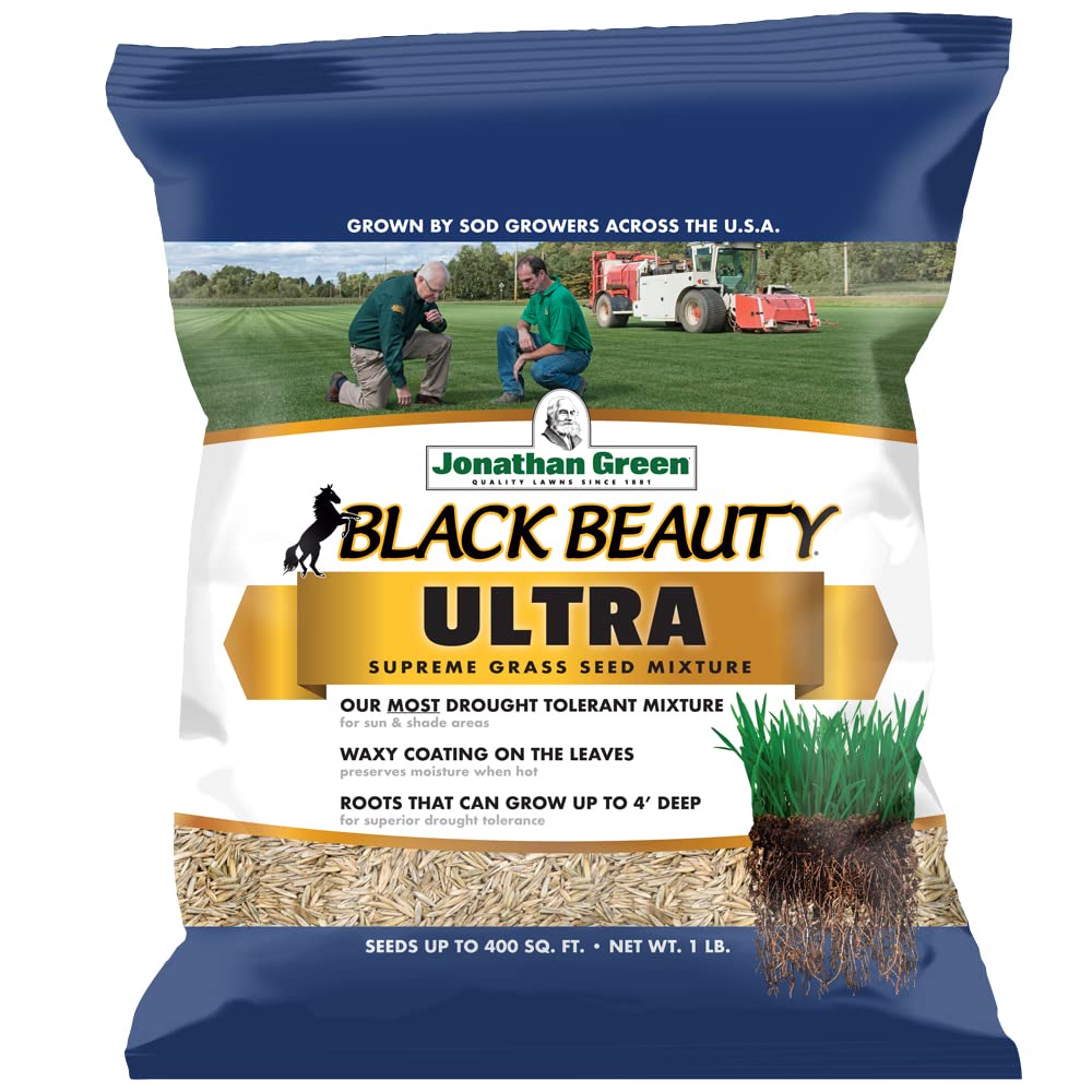 Jonathan Green (10320) Black Beauty Ultra Grass Seed - Cool Season Lawn  Seed (1 lb)